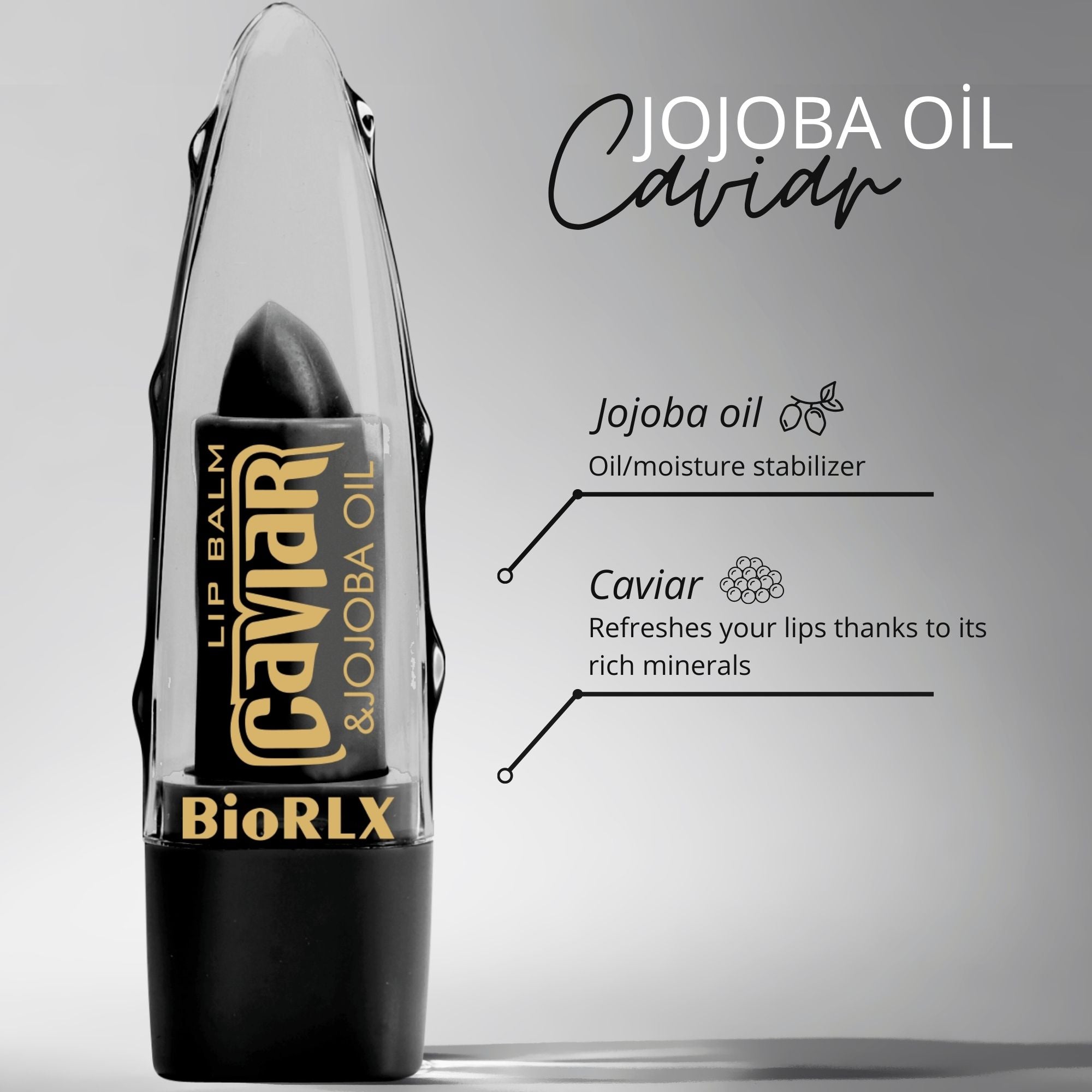 BioRLX